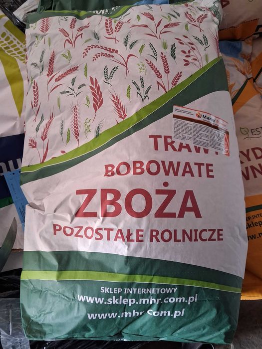 Owies BINGO, RAMBO kwalifikowany C/1 do siewu zaprawiany jary