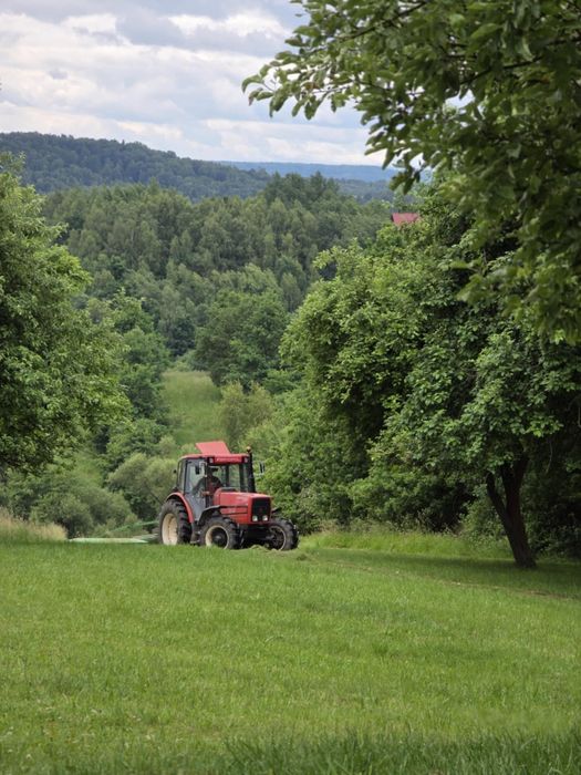 Koszenie traw, usługi glebogryzarką separacyjną i inne