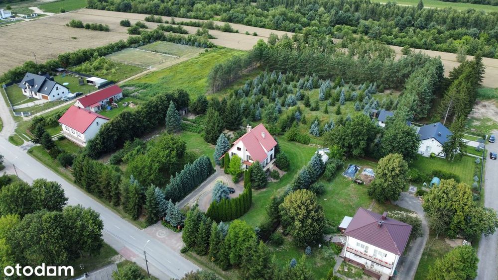 Urokliwa działka budowlana 1104 m² | MPZP | Cisza i świerkowy klimat
