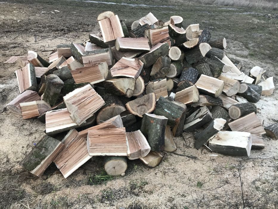 Дрова колодками,рубані,від 1800тверді породи