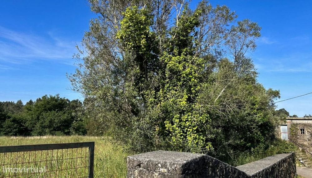 Venda de Terreno, Montaria, Viana do Castelo