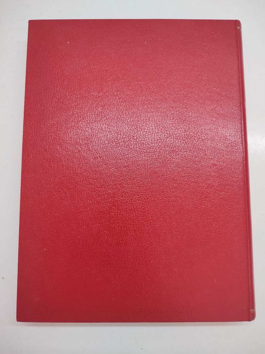 Livro - Dancin' Days