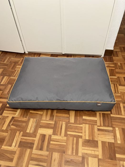 Cama Cão / Colchão Cão / Leeby Colchão M (10x60x90)