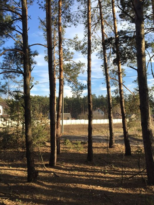 Земельна ділянка 15 соток під будівництво біля лісу, вул Солов’євська