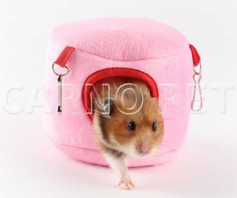 Artigos para hamsters & ratinhos