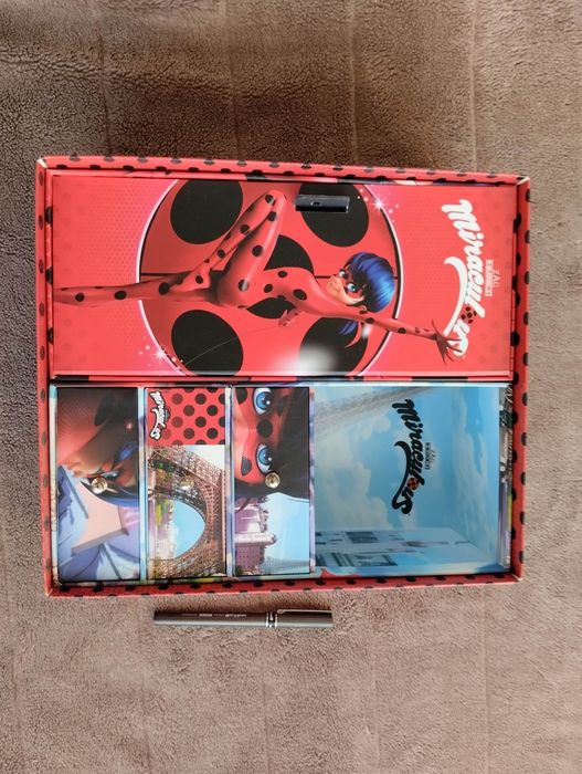 Lady Bug arrumação brinquedo criança