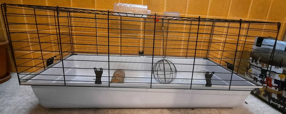 Gaiola de roedores com acessórios