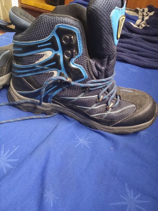 Красівки філа весна осінь, нормальний стан