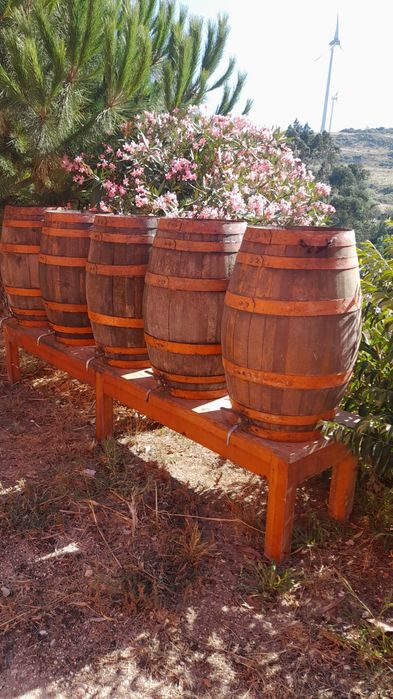 Barris em Carvalho Francês