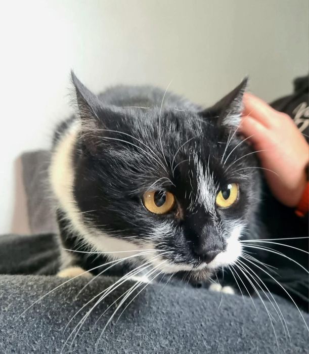 Czy ktoś mnie pokocha?