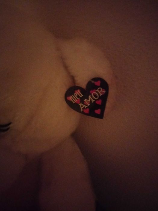 50 cm Plush Bear429046747230392323