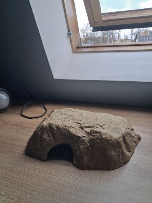Skrytka dla jaszczurek