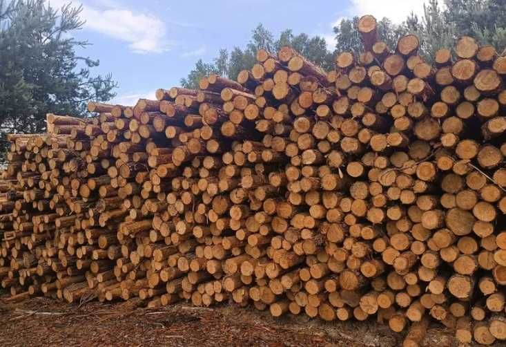 Stemple, Paliki, Słupki, Okrąglaki NEW 3m- 3,5, 4m, 2,6m Trans. Gratis