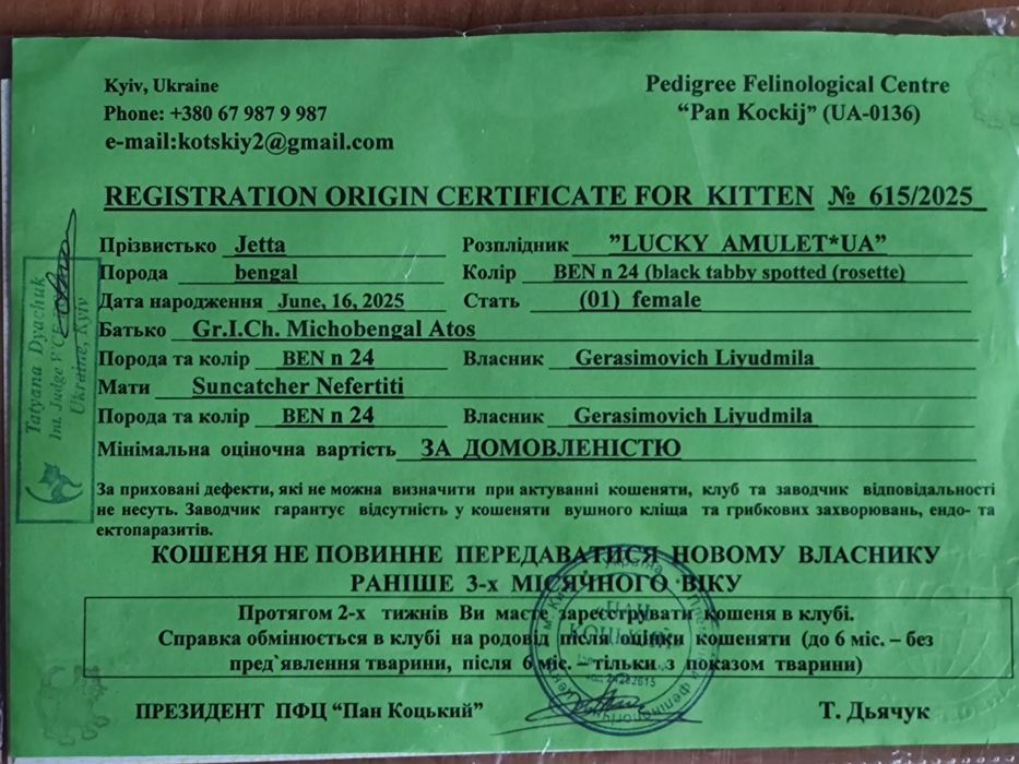 Тварини , кошенята Бенгальської клубної кішки