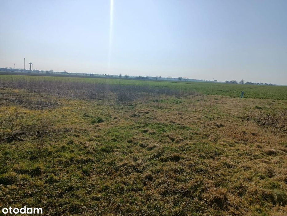 Działka budowlana 1010 m² | Kaźmierz | 25 km od Poznania | Media - Widok 5