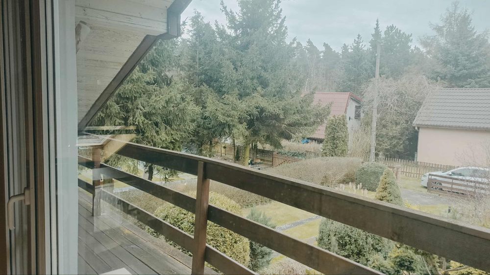 Działka ROD z Domkiem nad jeziorem 25 km od Poznania - Widok 6