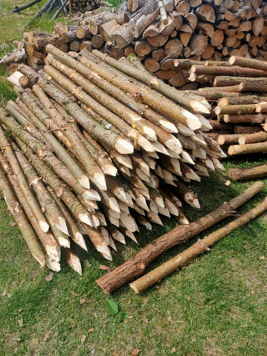 Kołki ogrodzeniowe, słupki, pale , ogrodzenie