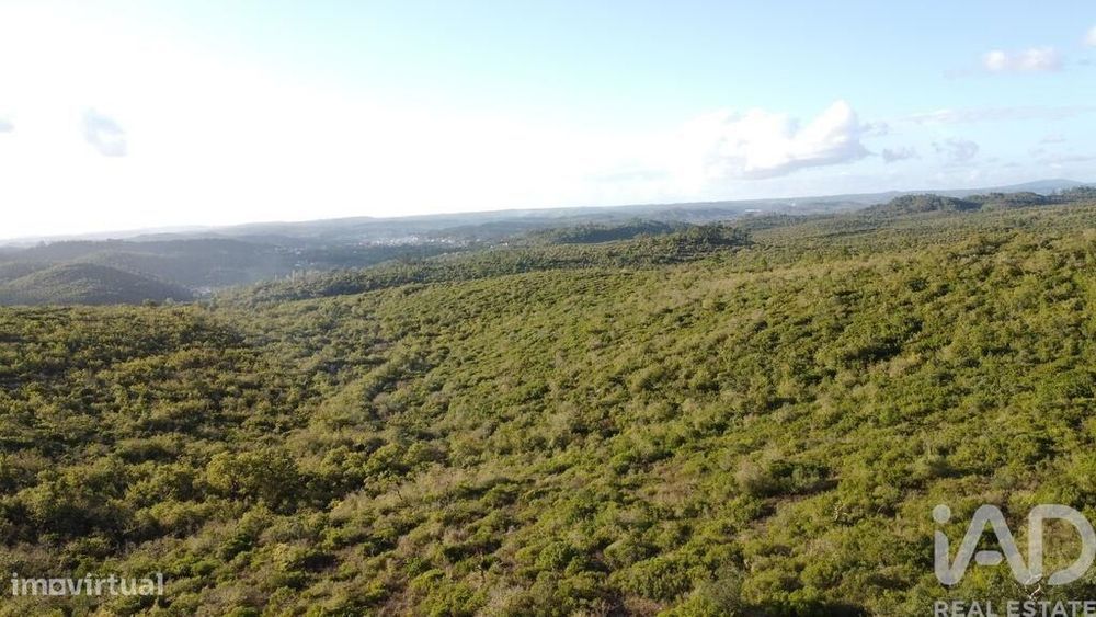 Terreno Agrícola em Freixianda, Ribeira do Fárrio e Formigais