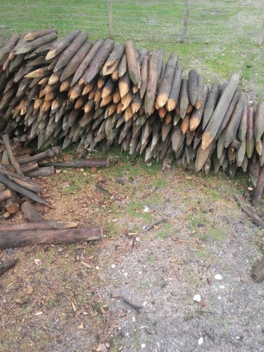 Paus usados para venda