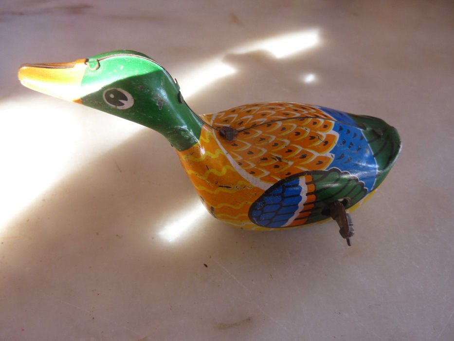 Pato corredor, de corda