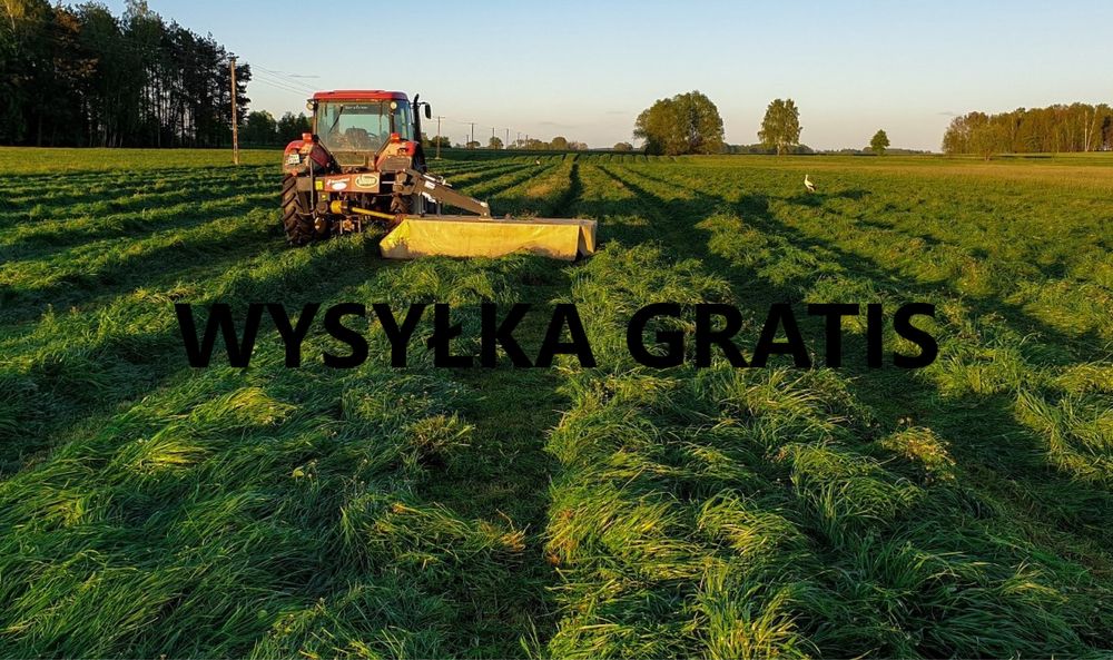 Mieszanka traw lucerna koniczyna gorzowska kupkówka festulolium trawa