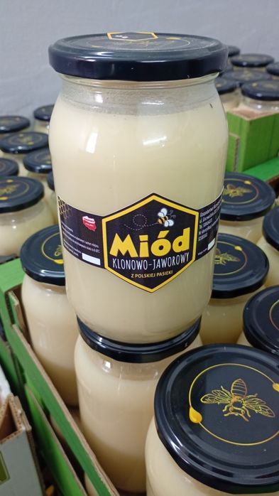 Miód klonowo-jaworowy