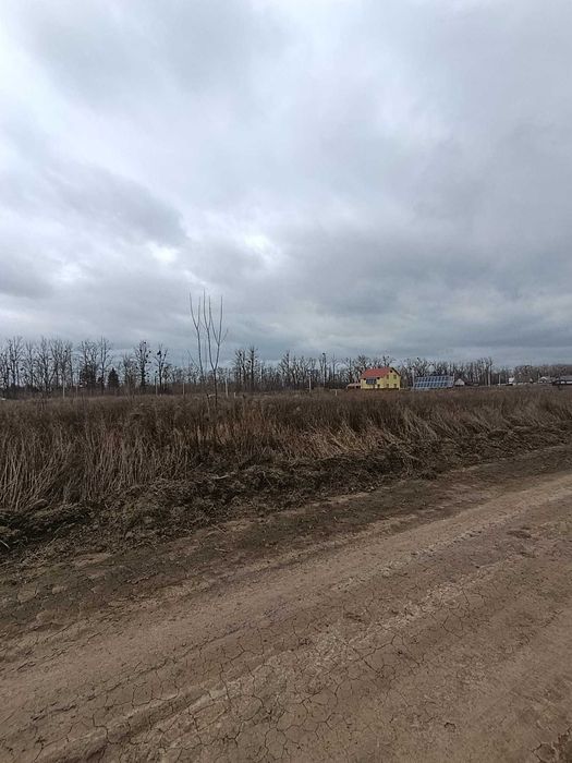 Продаж земельної ділянки під житлову забудову, с. Бохоники, 8 соток
