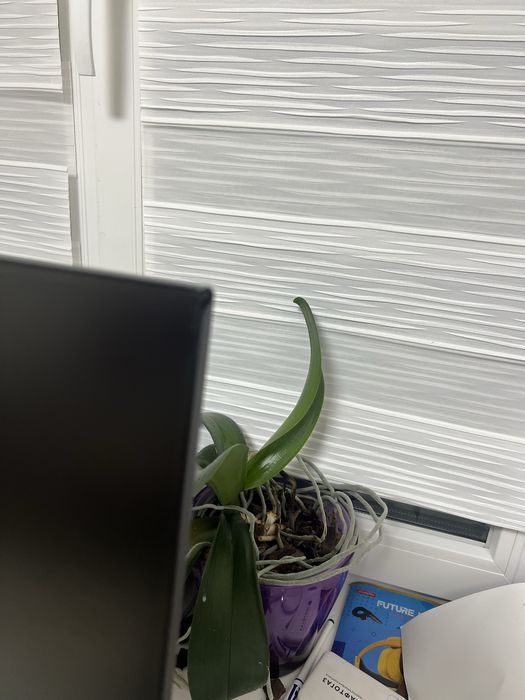 Монитор DELL P2219H