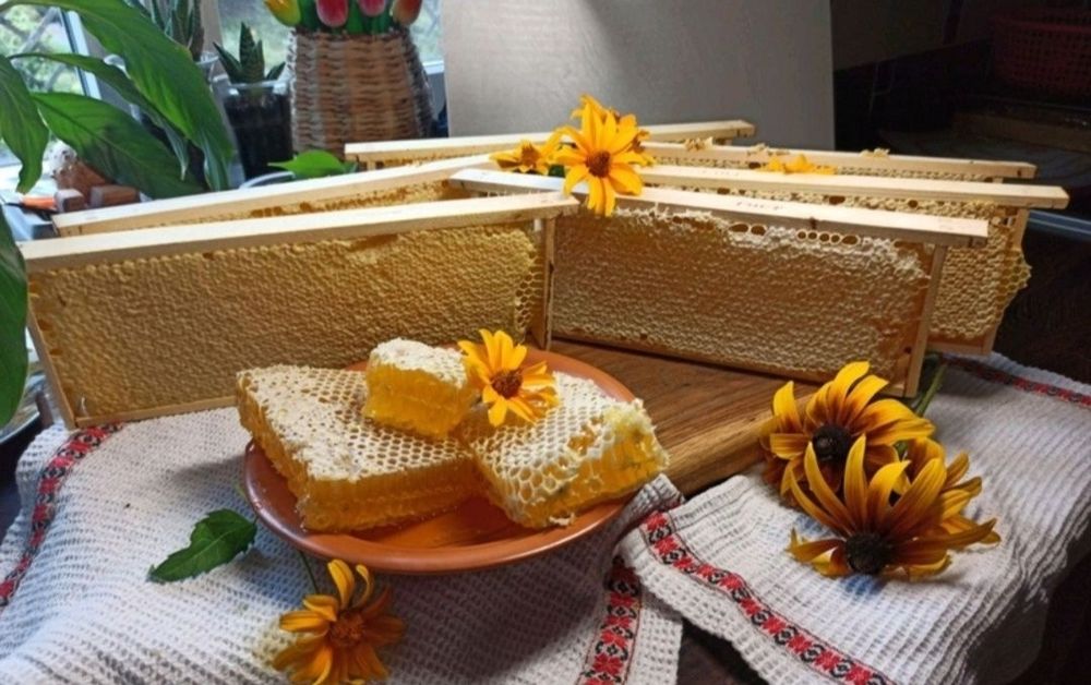 МЁД, 3 л. мед, мёд в сотах, мед в стільниках
