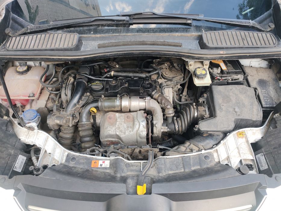 Ford Grand C-Max 2011 VIN WF0HXXWPBHBK06610 фото оголошення 14 з 14