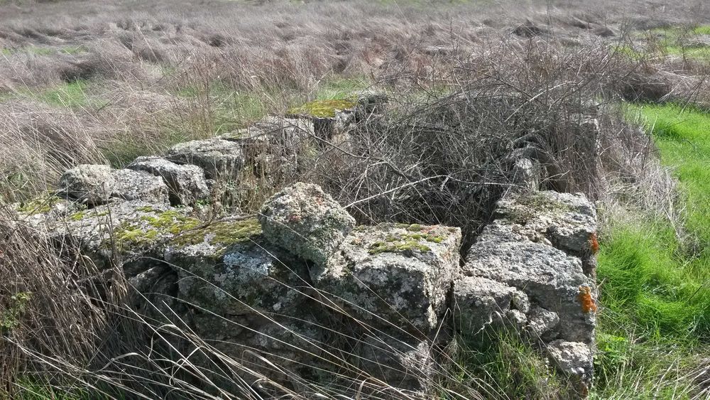 Terreno ideal para refugio de campo, Nisa
