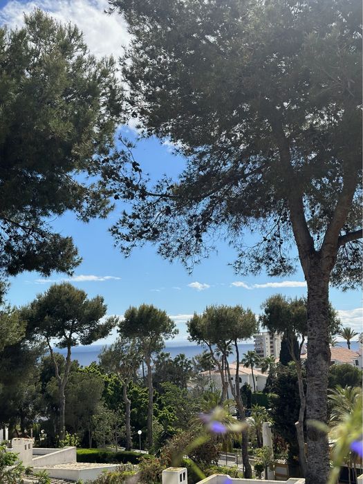 WOLNE Terminy - Apartament/Wakacje/Hiszpania/Malaga z autem Cabrio VW