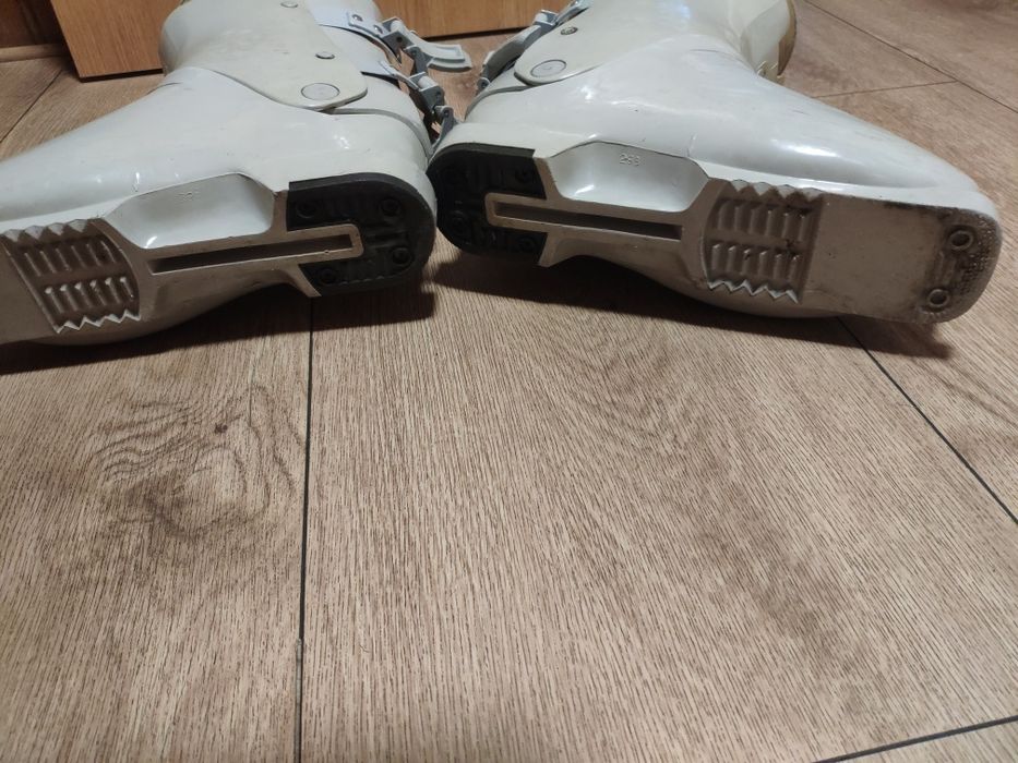 Buty narciarskie Lowa