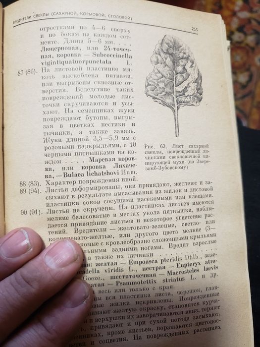 оределитель сельско хозяйствених вредителей