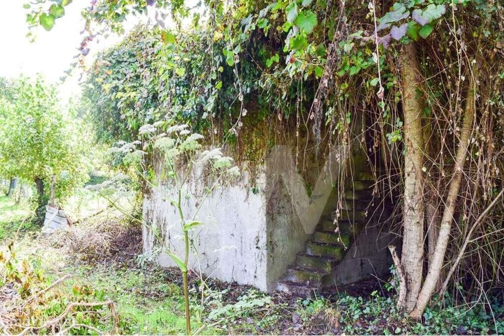 Terreno 3.420m2 com celeiro de 48m2 — São Martinho (Silvares), Braga