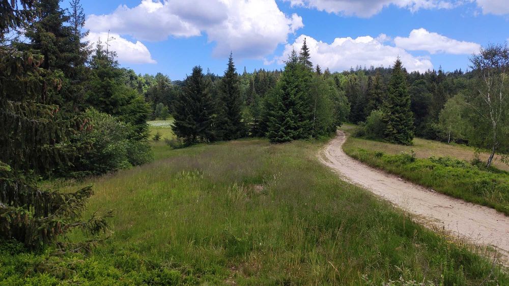 Działka w Gorcach -polana z lasem