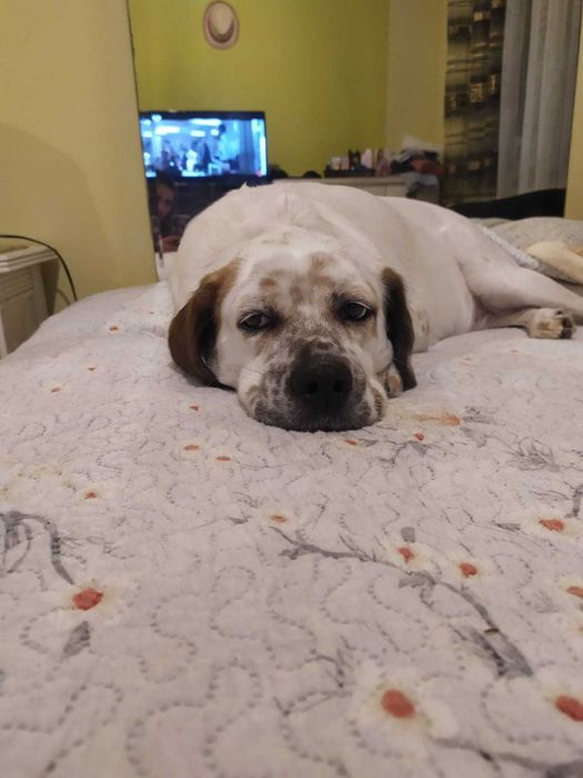 Mãe e filho porte médio