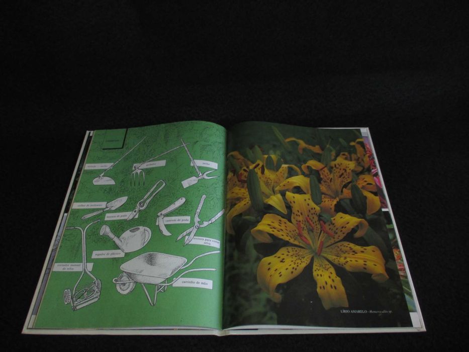 Livro Aprenda a Cultivar Plantas de Jardim Vida Biblioteca