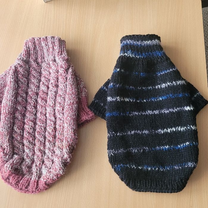 Одяг для собак .