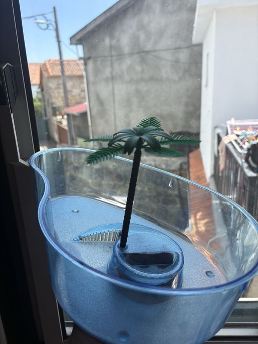Tartarugueira como nova