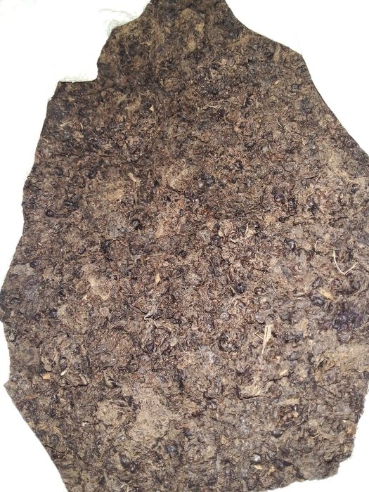 Продам мерву пчолину