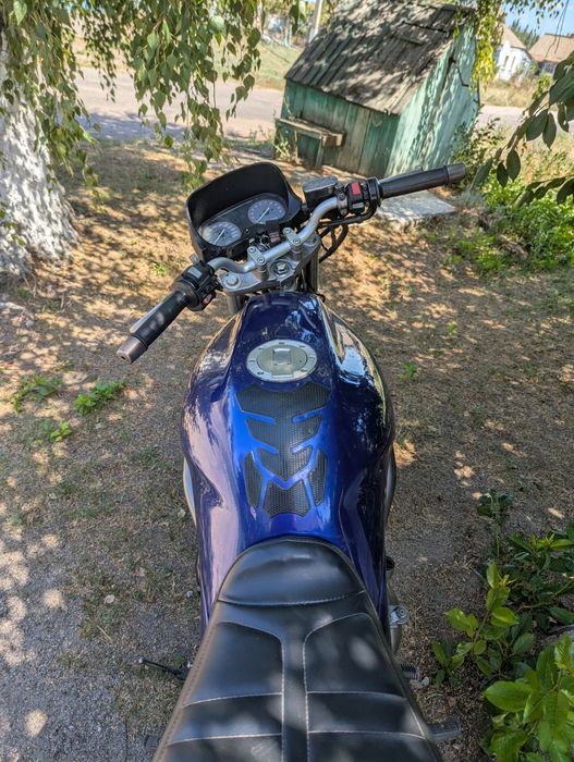 Yamaha xj600s Divershen