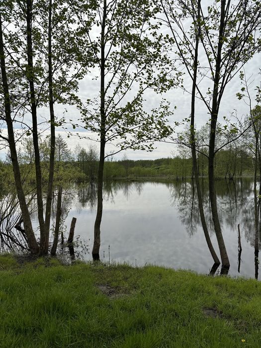 Продам добротний будинок у селі Макишин, недалеко від р. Снов