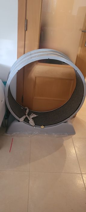 Roda de exercício para gatos