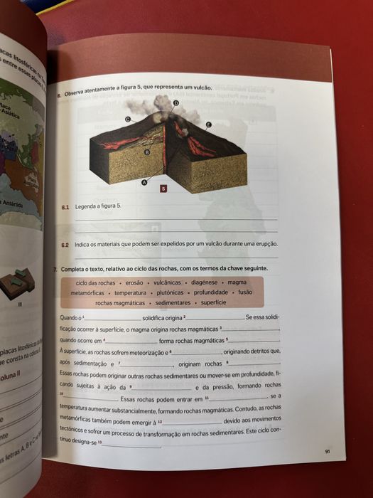 Caderno do aluno ADN 7