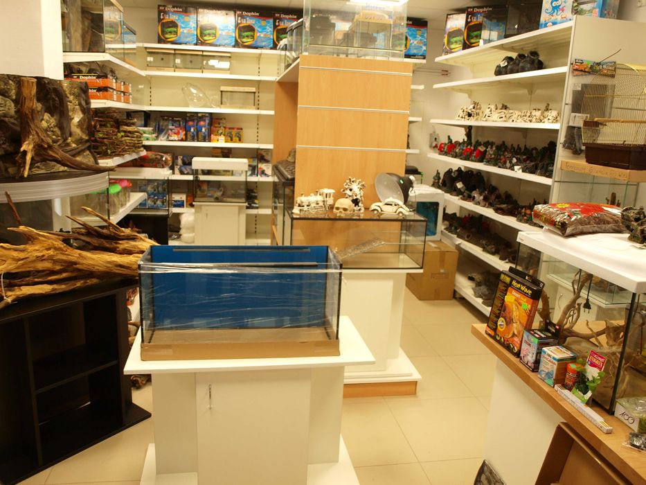 Akwarium 100x40x50 szkło 8mm/200l