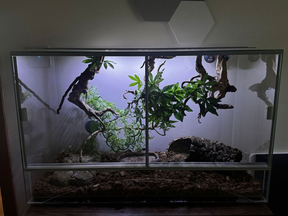 Terrarium 80x50x40 z wyposażeniem