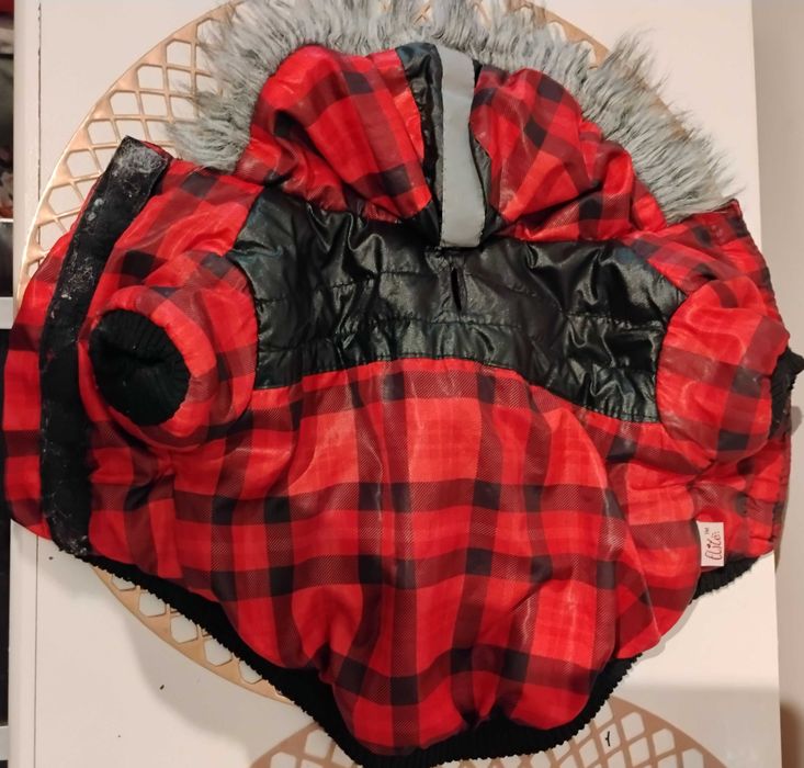 Ubranko dla Psa Elite Maltańczyk mini