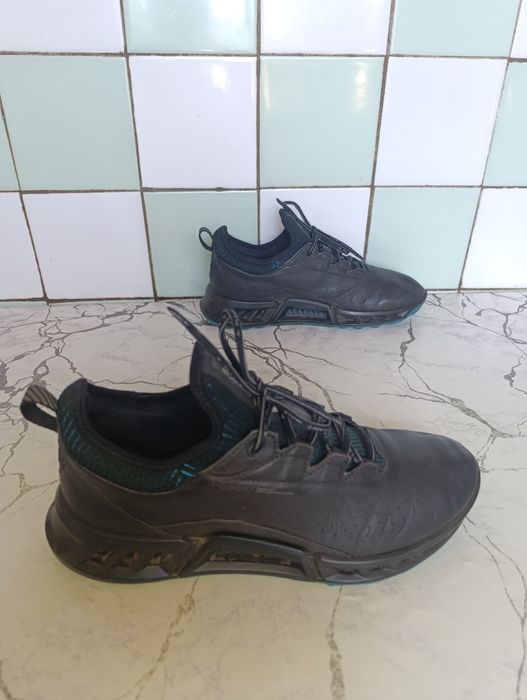 Ecco golf p.41 property, prices, rise,biom, wayfly