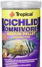 comida peixes tropical